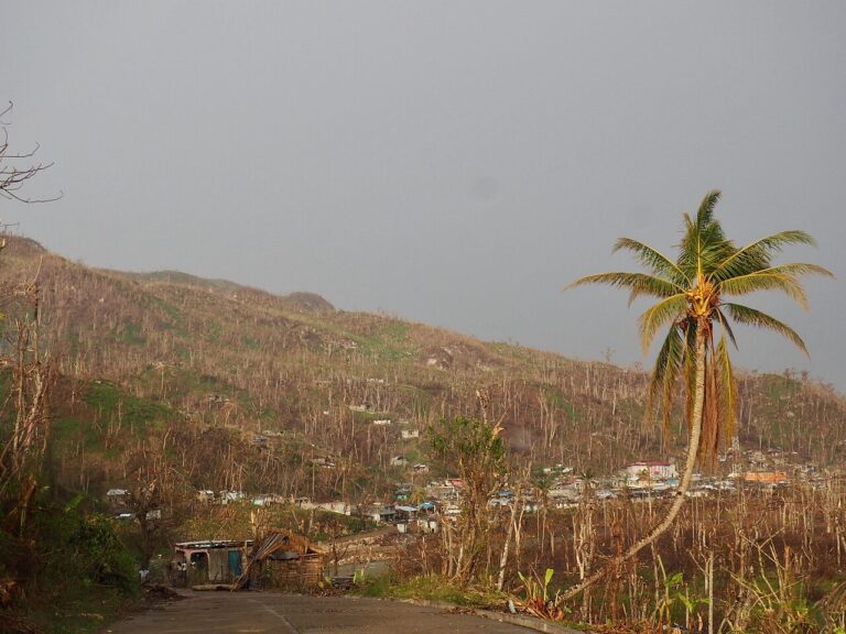 As Hurricane Matthew moved through Haiti, winds were strong enough to tear apart vegetation.jpg