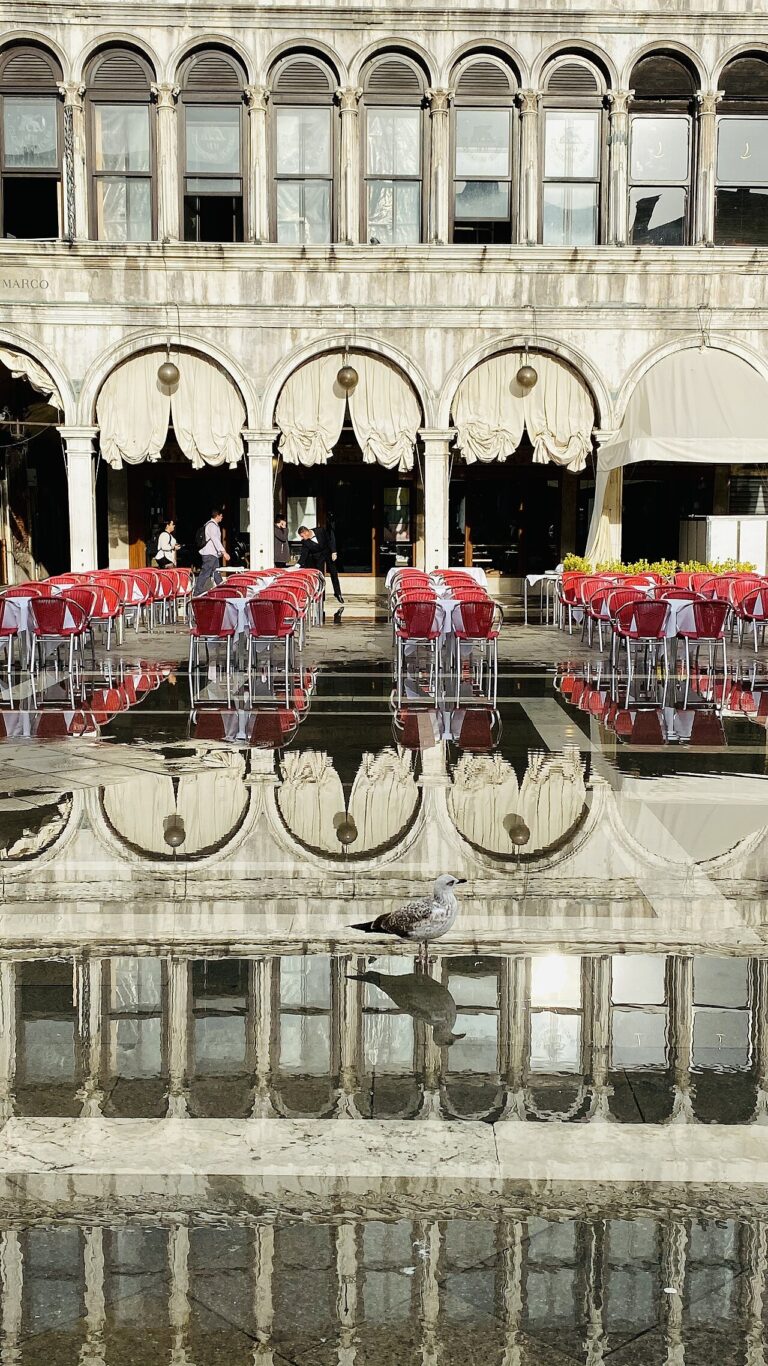 Acqua alta 2019 in Venice.jpg
