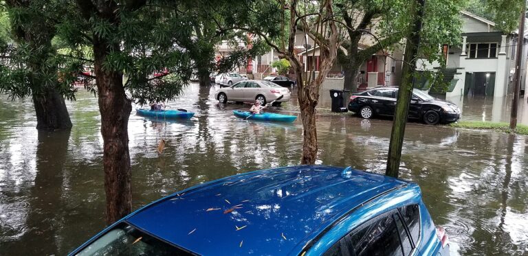 Banks Street Kayakers - Mid-City New Orleans flooding July 2019.jpg