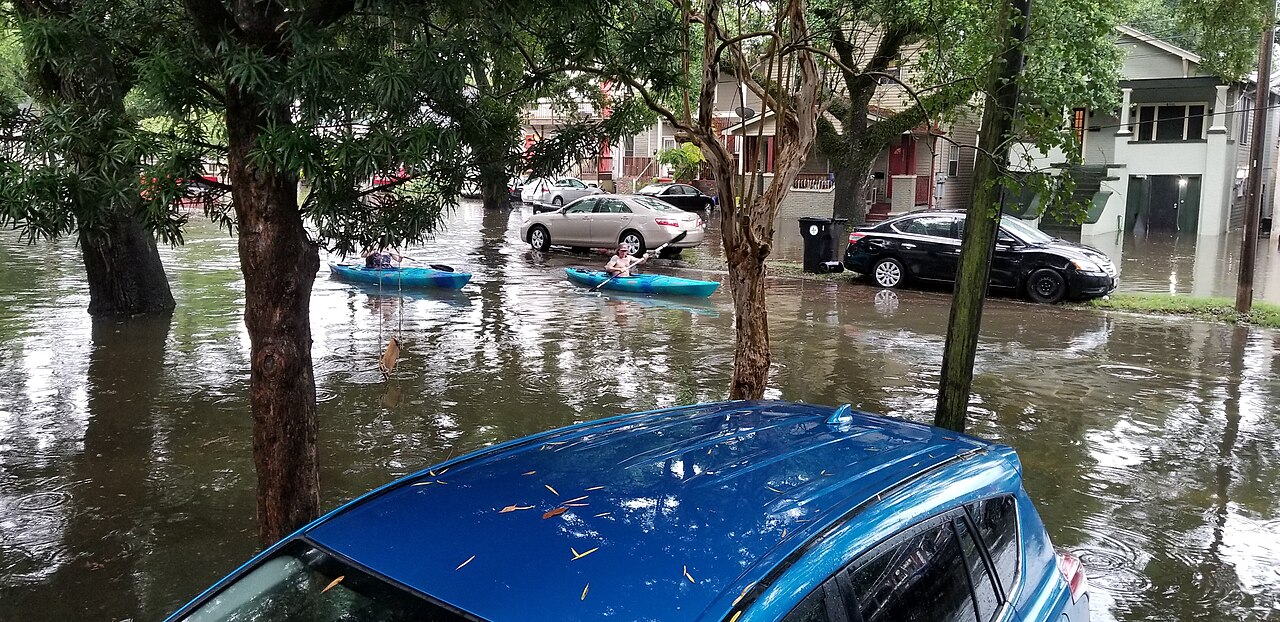 Banks Street Kayakers - Mid-City New Orleans flooding July 2019.jpg