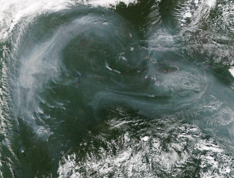 Fires and smoke across central Siberia (MODIS 2017-08-16).jpg