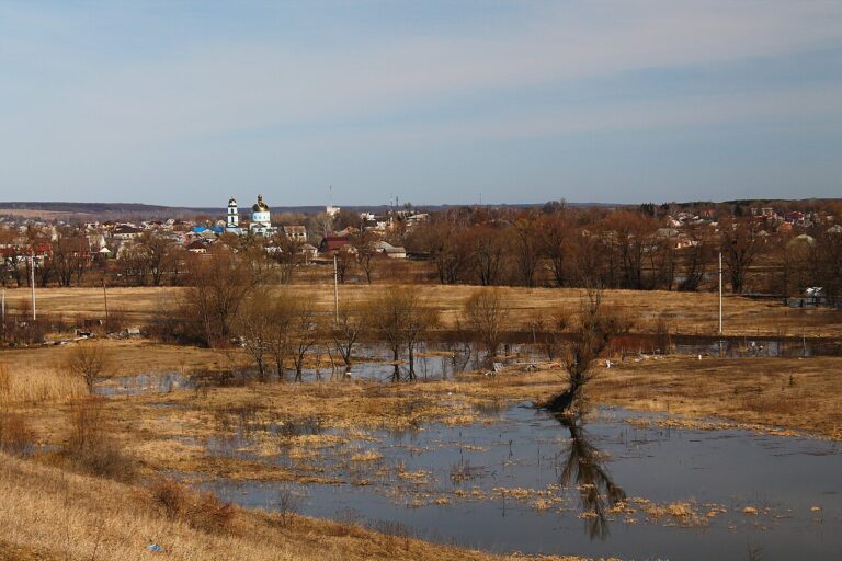 Flooding of the river Lopan in the town of Derhachi.jpg